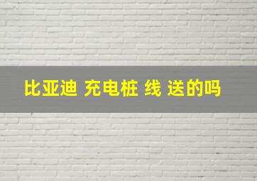 比亚迪 充电桩 线 送的吗